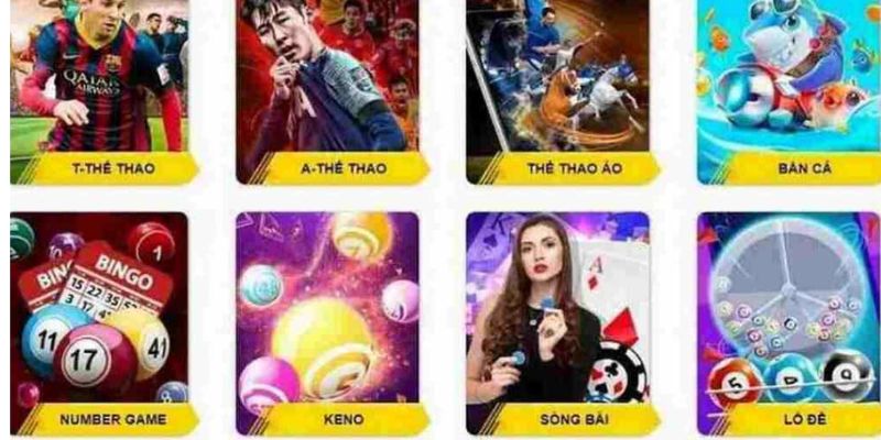 Những sản phẩm cá cược độc đáo