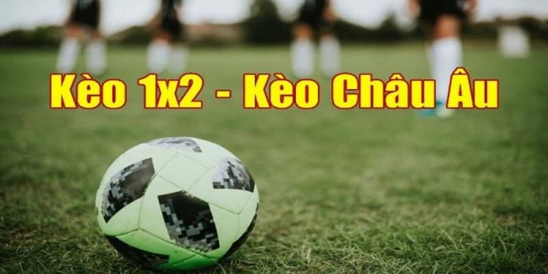 Kèo châu Âu là gì? - Giải đáp cách chơi kèo cho bạn mới 7 Tìm hiểu về kèo châu âu là gì