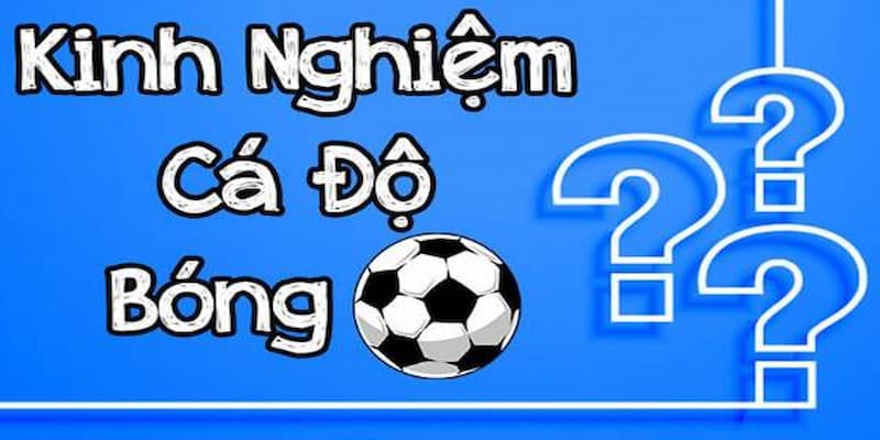 Kinh nghiệm chơi cá độ bóng đá trực tuyến giúp thắng lớn 6 Kinh nghiệm chơi cá độ bóng đá