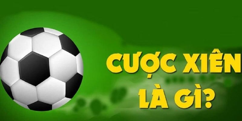 Cược Xiên Là Gì - Hình Thức Đặt Cược Hot Nhất 2024 1 Những thông tin cơ bản nhất về cược xiên là gì